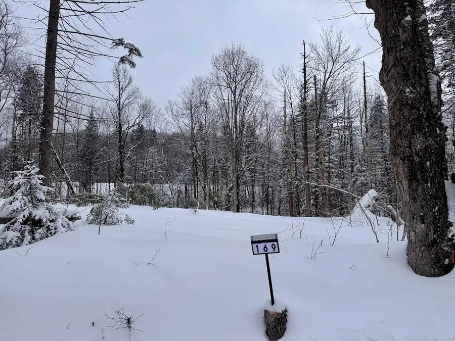 169 Sun and Ski Road, Wilmington, VT 05363 - #2