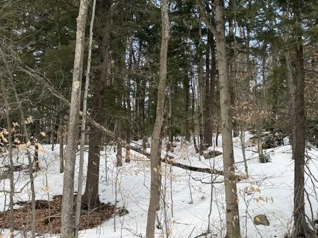 Map 6 Lot 103 Route 16, Albany, NH 03818 - #2