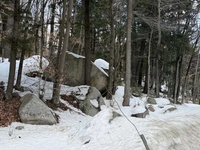 Map 6 Lot 103 Route 16, Albany, NH 03818 - #3