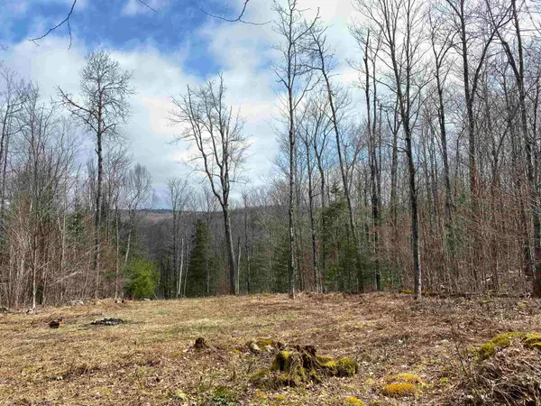 00 Miller Pond Road, Grantham, NH 03753