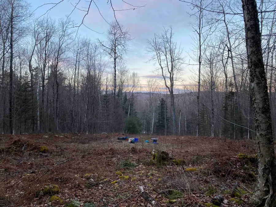 00 Miller Pond Road, Grantham, NH 03753 - #3