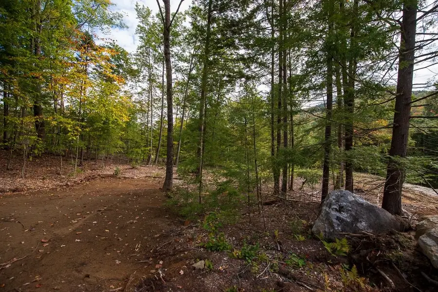 15-12-10-04 Jacob Hall Farm Road, Rumney, NH 03266 - #3