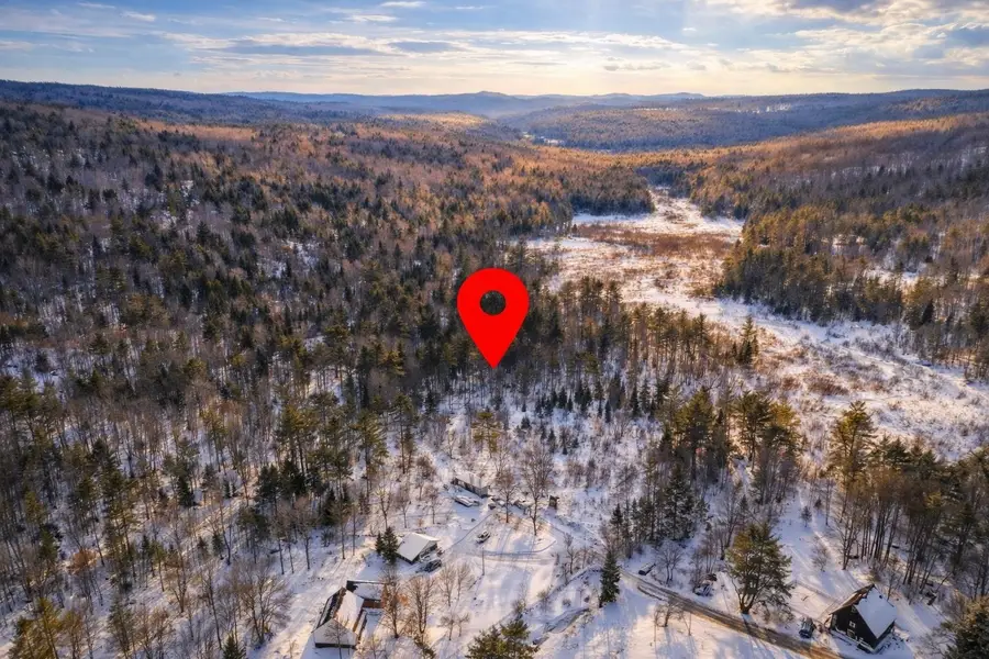 132 Wheeler Lane, Lempster, NH 03605 - #3