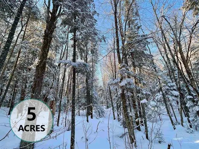 00 Mountain Road, Burke, VT 05832 - #1