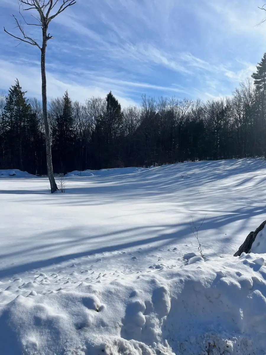 Lot 70.1 Old North Branch Road, Antrim, NH 03440 - #3