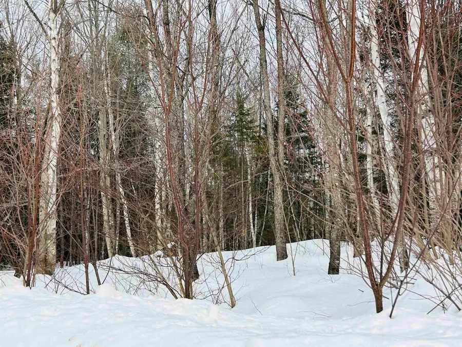 Lot 15 Holbrook Hill Road, Stratford, NH 03590 - #2