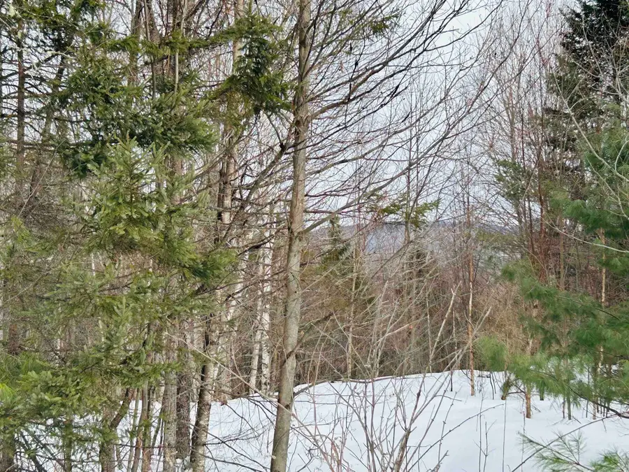 Lot 15 Holbrook Hill Road, Stratford, NH 03590 - #3