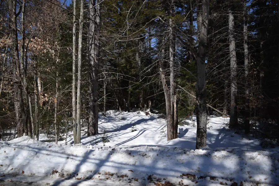 Lot 141 Presidential Drive, Washington, NH 03280 - #2