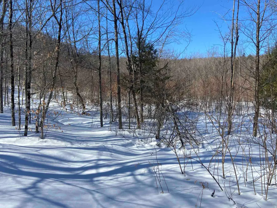 Lot 1 Marshall Road, Duxbury, VT 05676 - #3
