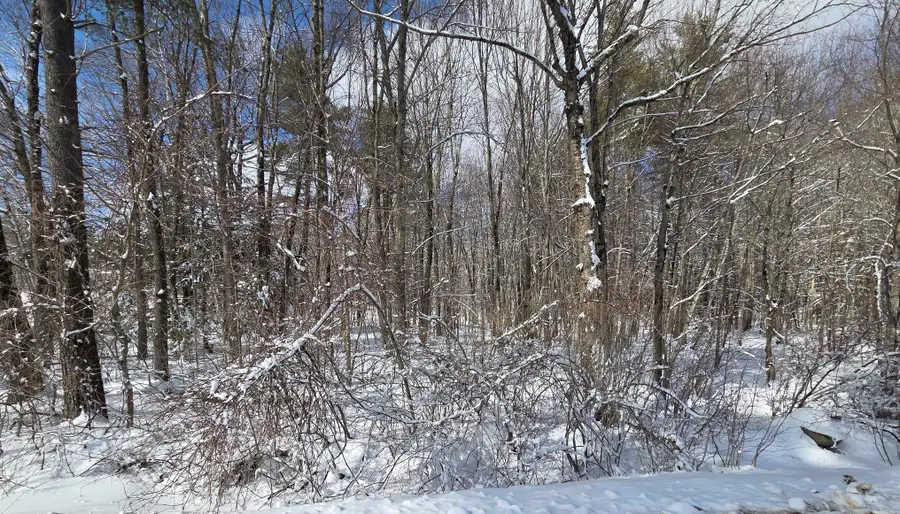 79-1 Currier Road, Candia, NH 03034 - #2