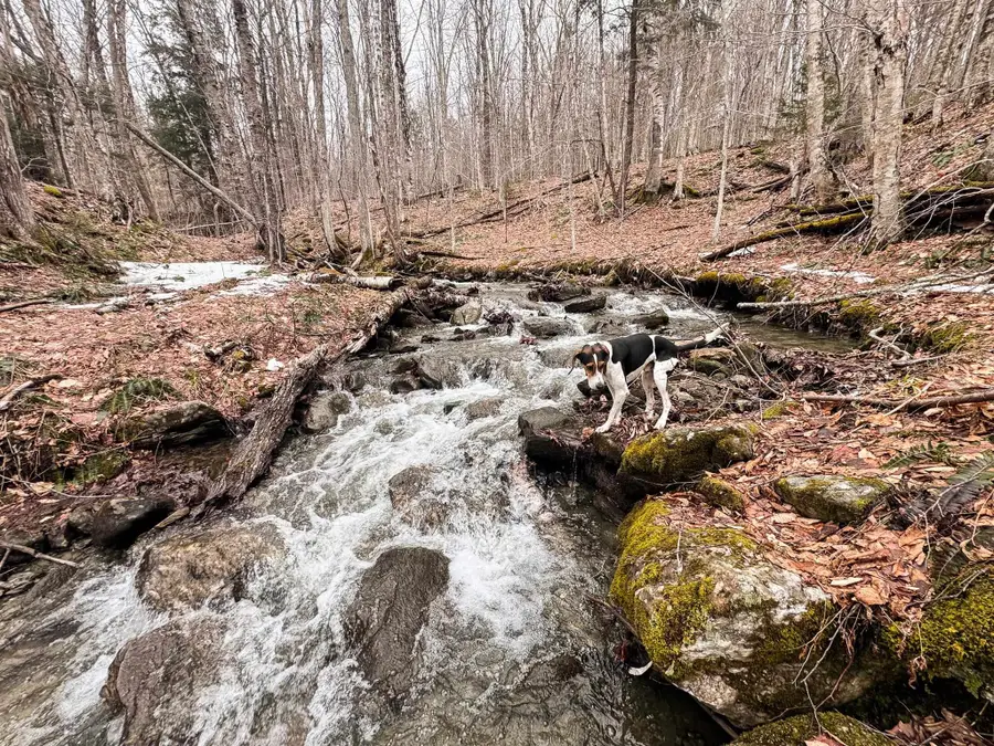 400 Marine Hill, Rochester, VT 05767 - #3