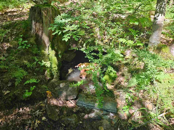 Lot 3.2 Off Parker Road, Lisbon, NH 03585