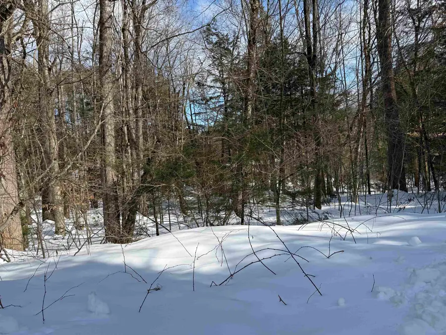 14-194 Seminole Road, Hillsborough, NH 03244 - #3