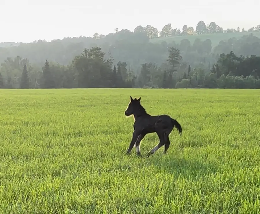 254 Airport Road, Lyndon, VT 05851 - #2