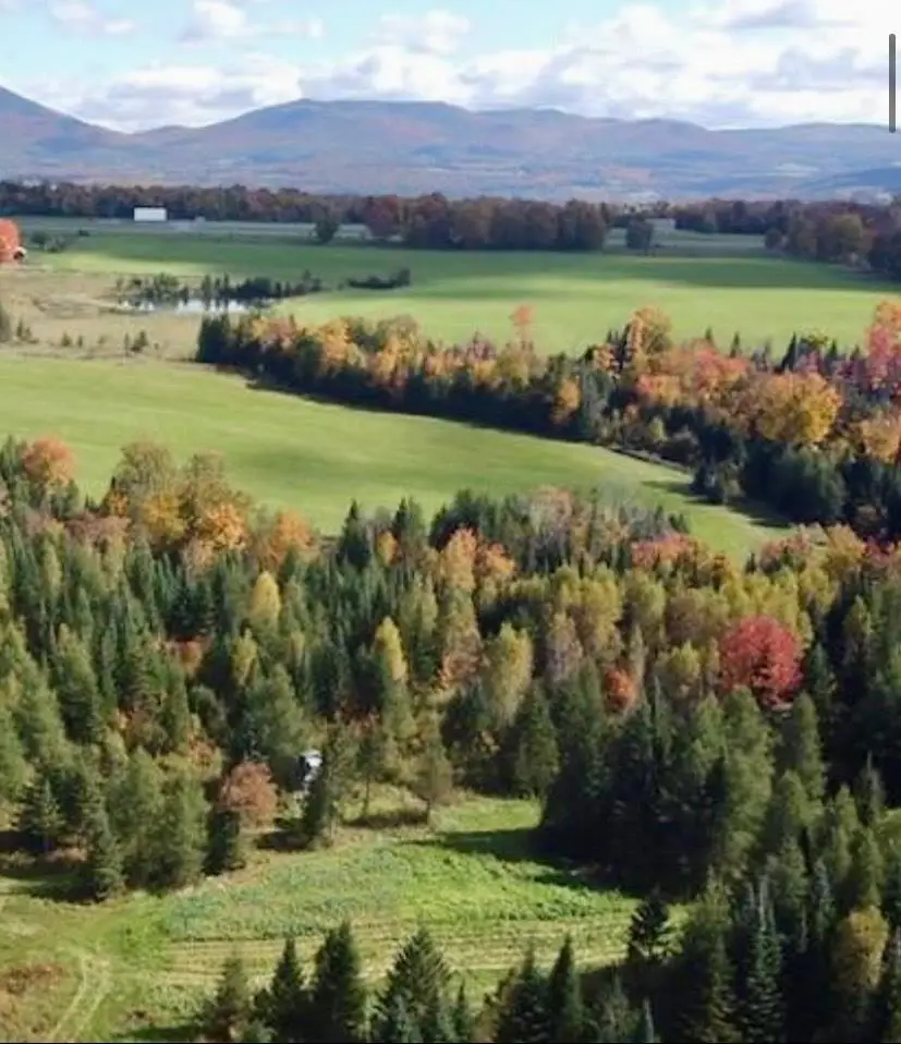 254 Airport Road, Lyndon, VT 05851 - #3