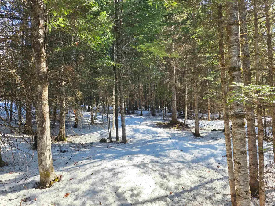 000 Old Coach Road #5, Lyndon, VT 05851 - #3