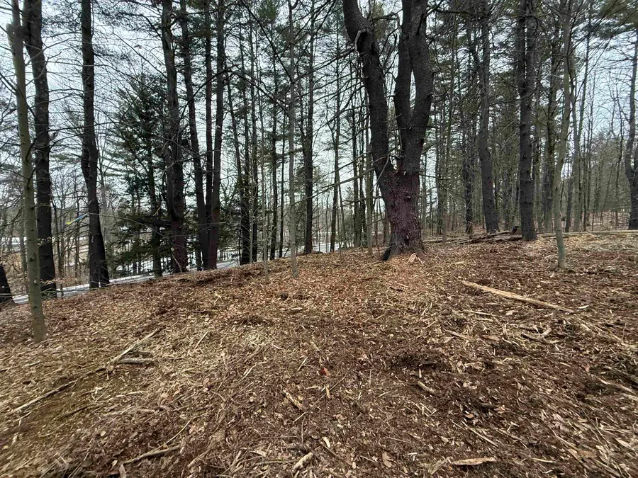 14-2 Jewett Road, Hopkinton, NH 03229 - #2