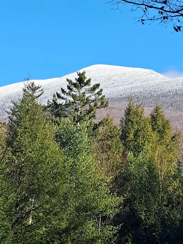 00 Stimson Road, Warren, NH 03279