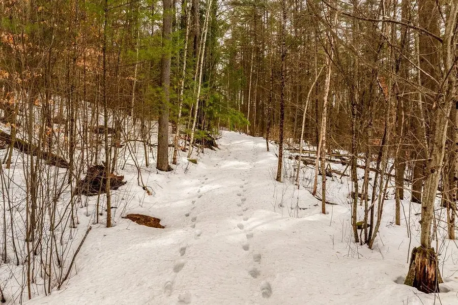 00 Route 12A, Plainfield, NH 03781 - #2