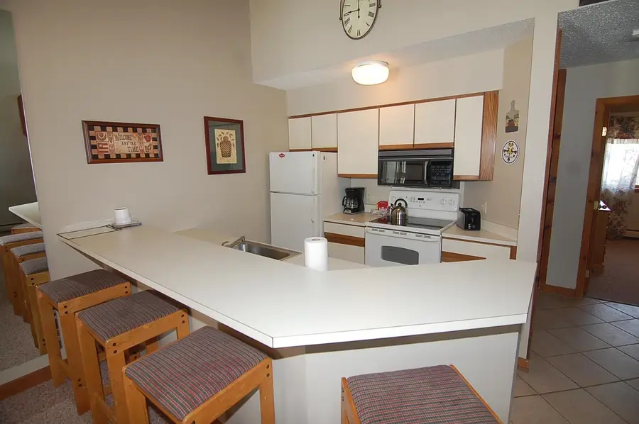 18 Ober Tal Drive #F32, Stratton Mountain, VT 05155 - #3