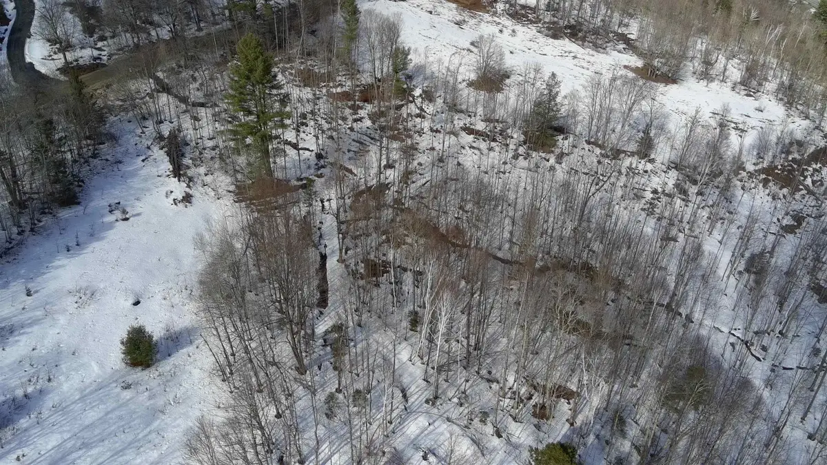 Lot 3 Thurston Hill Road, Roxbury, VT 05669 - #1