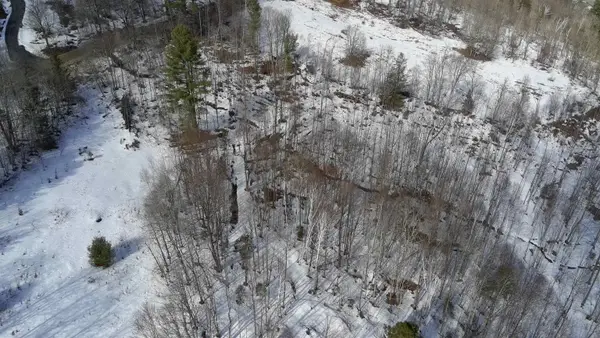 Lot 3 Thurston Hill Road, Roxbury, VT 05669