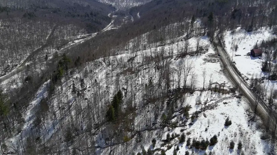 Lot 3 Thurston Hill Road, Roxbury, VT 05669 - #3