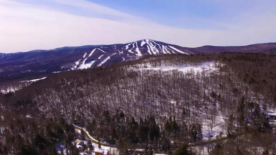 10 Overlook Drive, Dover, VT 05356 - #3