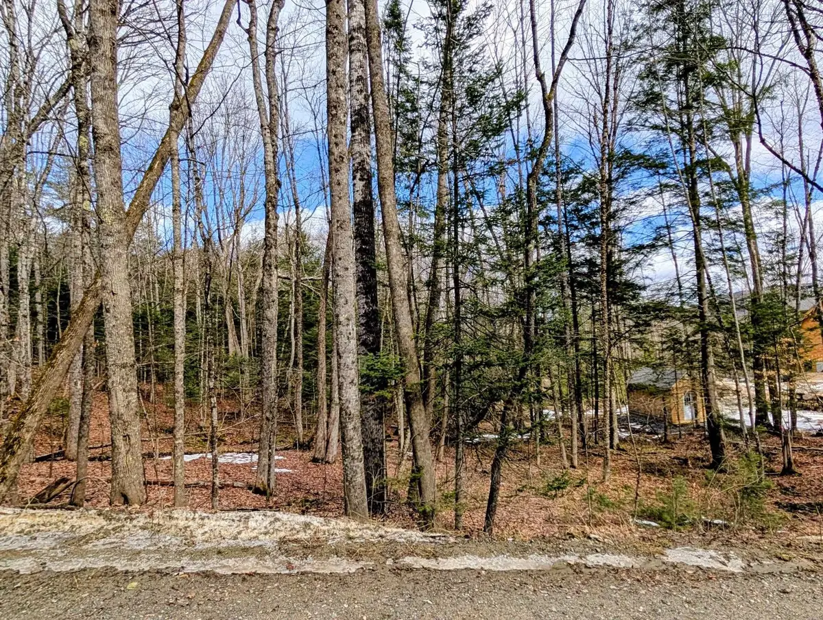 Lot 258 Kearsarge Drive, Mountain Lakes, NH 03785 - #1