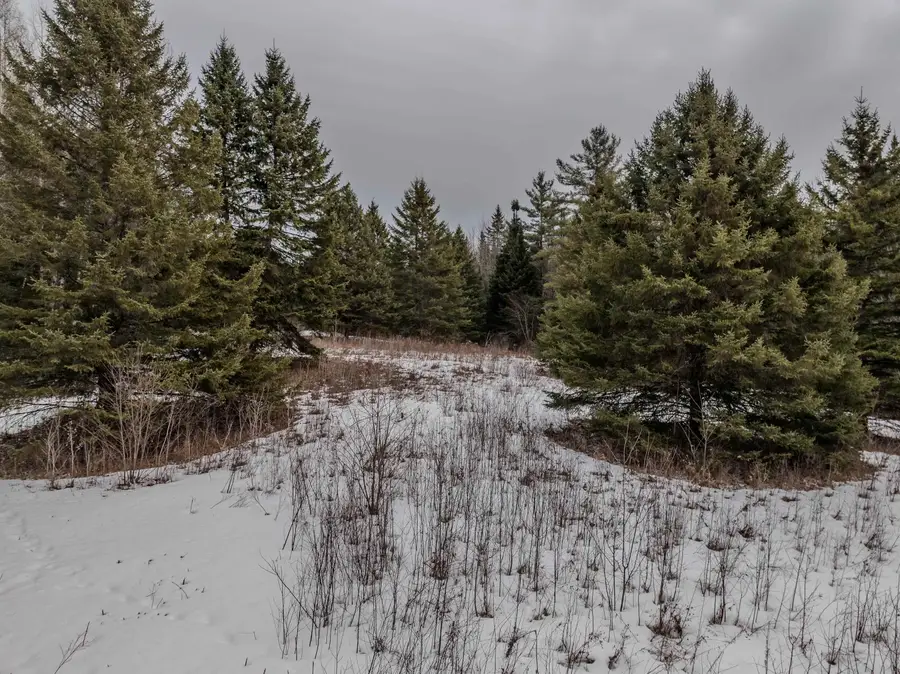 0 Jefferson Road #Tax Map 225 lot 3, Whitefield, NH 03598 - #2