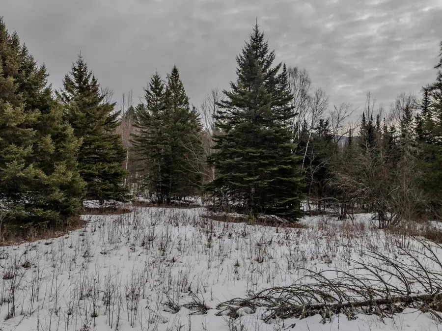 0 Jefferson Road #Tax Map 225 lot 3, Whitefield, NH 03598 - #3