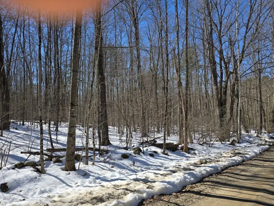 Copeland Road, Unity, NH 03603 - #3