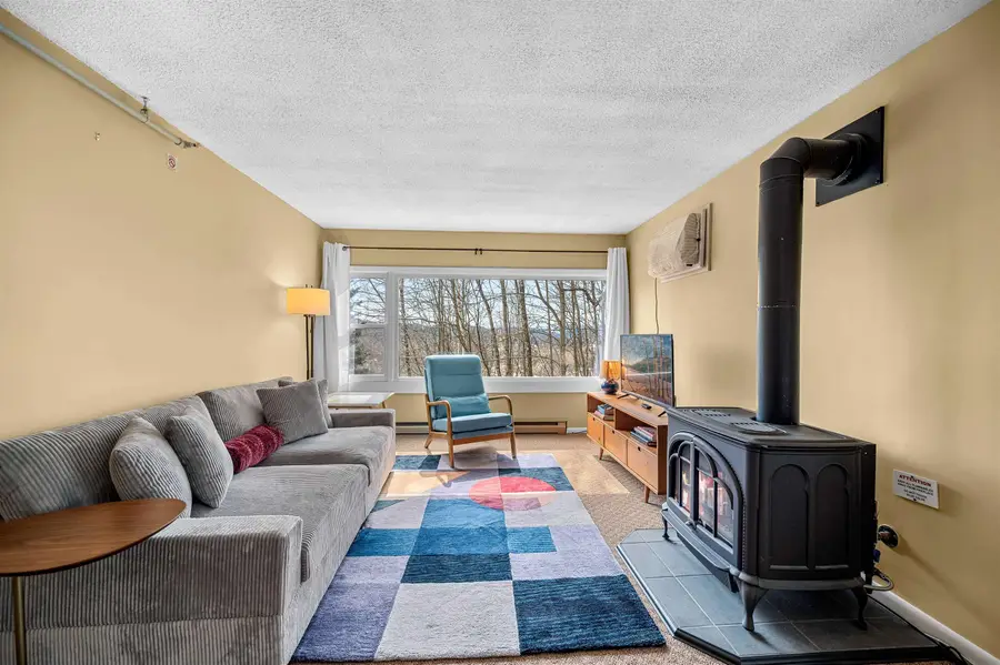 220 Mountainside Drive #E301, Stowe, VT 05672 - #3