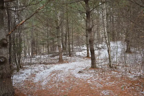 rt 58 East, Lowell, VT 05847