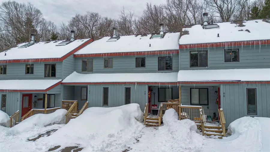 8 Black Bear Lane #D, Dover, VT 05356 - #3