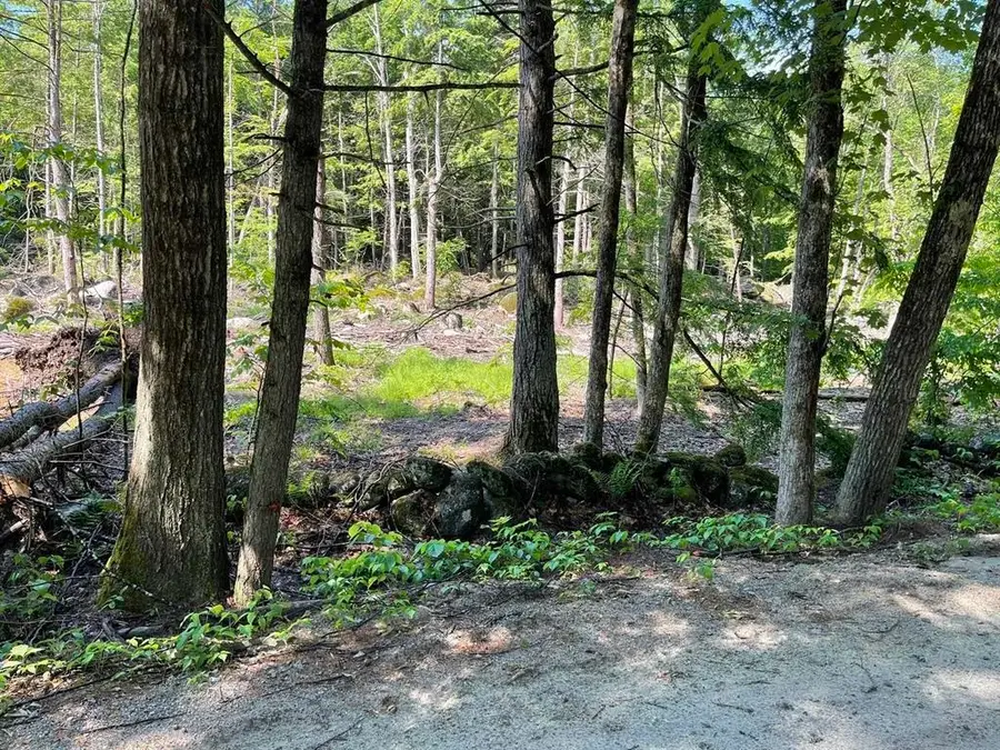 00 Beard Road, Hillsborough, NH 03244 - #2