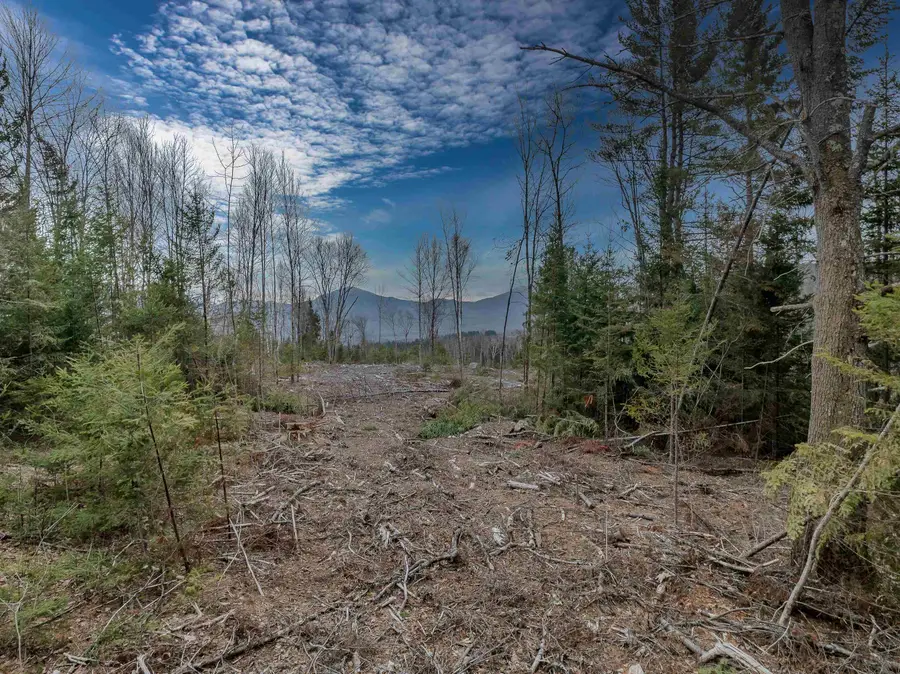 000 Ridge Road #41, Bethlehem, NH 03574 - #2