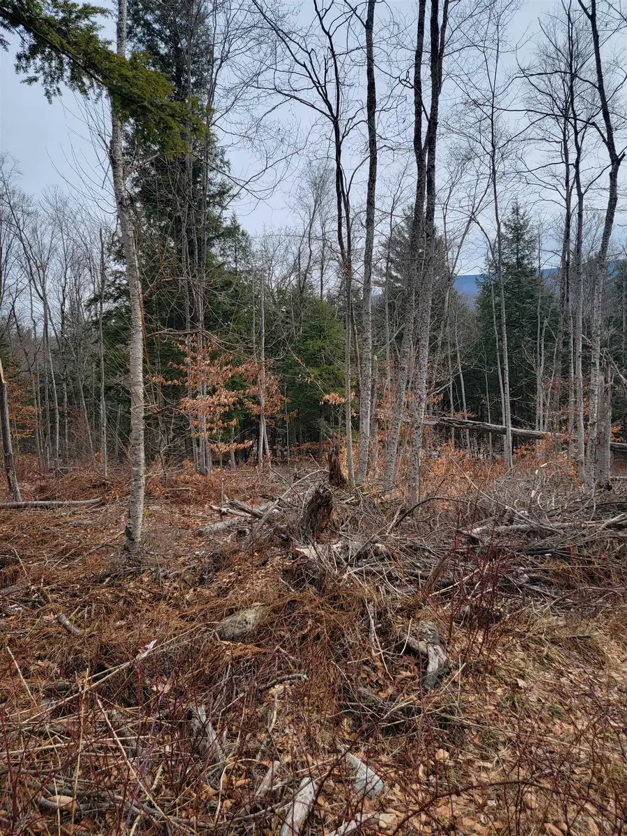 80 Crossover Road, Bennington, VT 05201 - #2