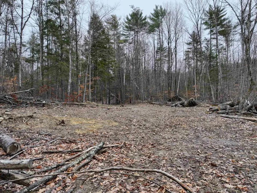 TBD McConnell Road, Brandon, VT 05733 - #3