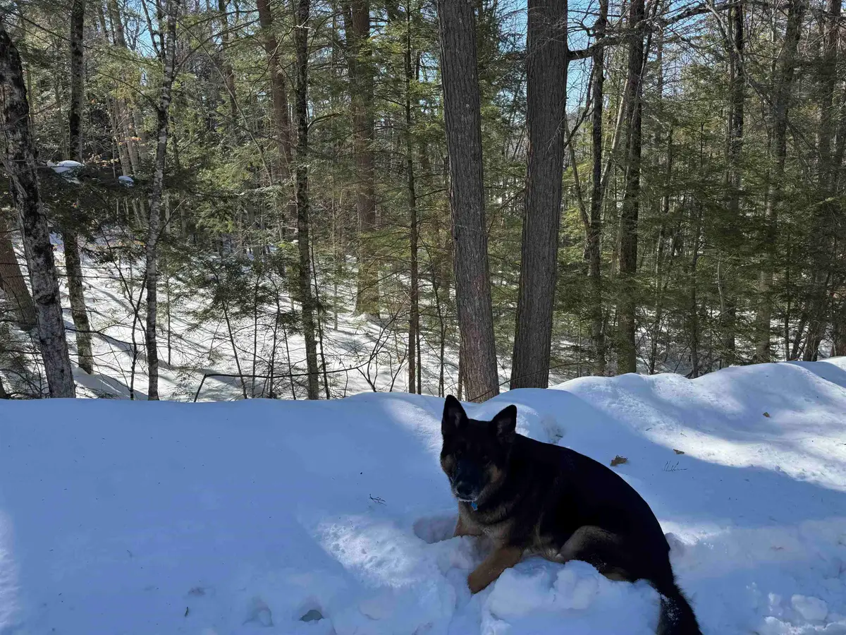 224 Valley Road, Ossipee, NH 03814 - #1