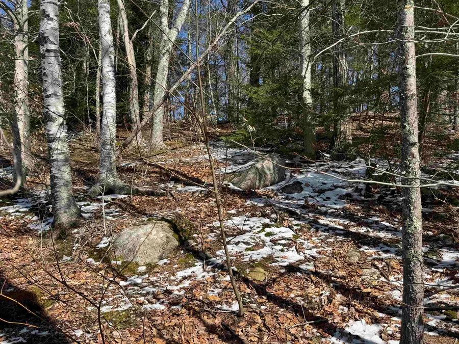Lot 185 Nutter Drive #Map 71, Lot 185, Alton, NH 03809 - #3