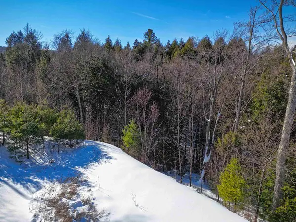 00 Garden Loop Road, Winhall, VT 05340
