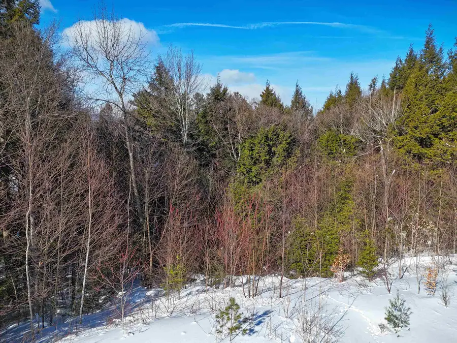 00 Garden Loop Road, Winhall, VT 05340 - #3