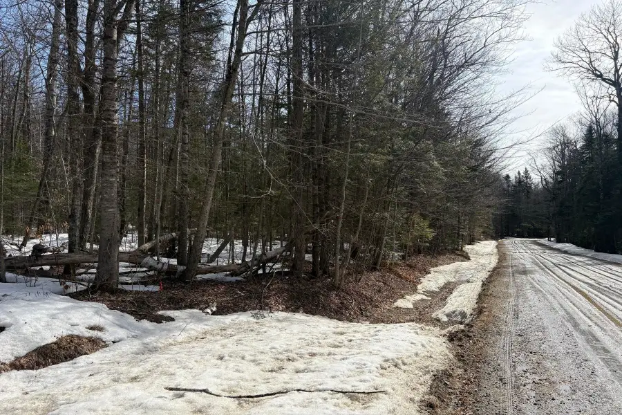 360 Dorman Road, Andover, VT 05143 - #2