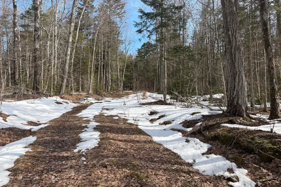 360 Dorman Road, Andover, VT 05143 - #3