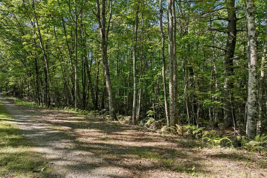 Chamberlain Road #11, Alton, NH 03809 - #3