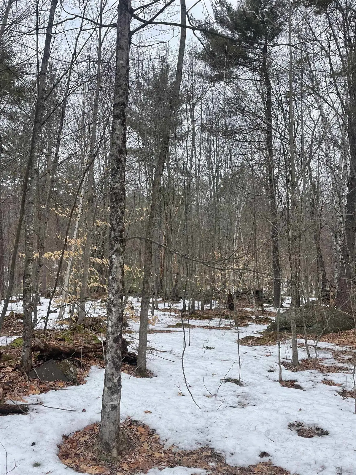 Lot 13-9 E Washington Road, Washington, NH 03280 - #1