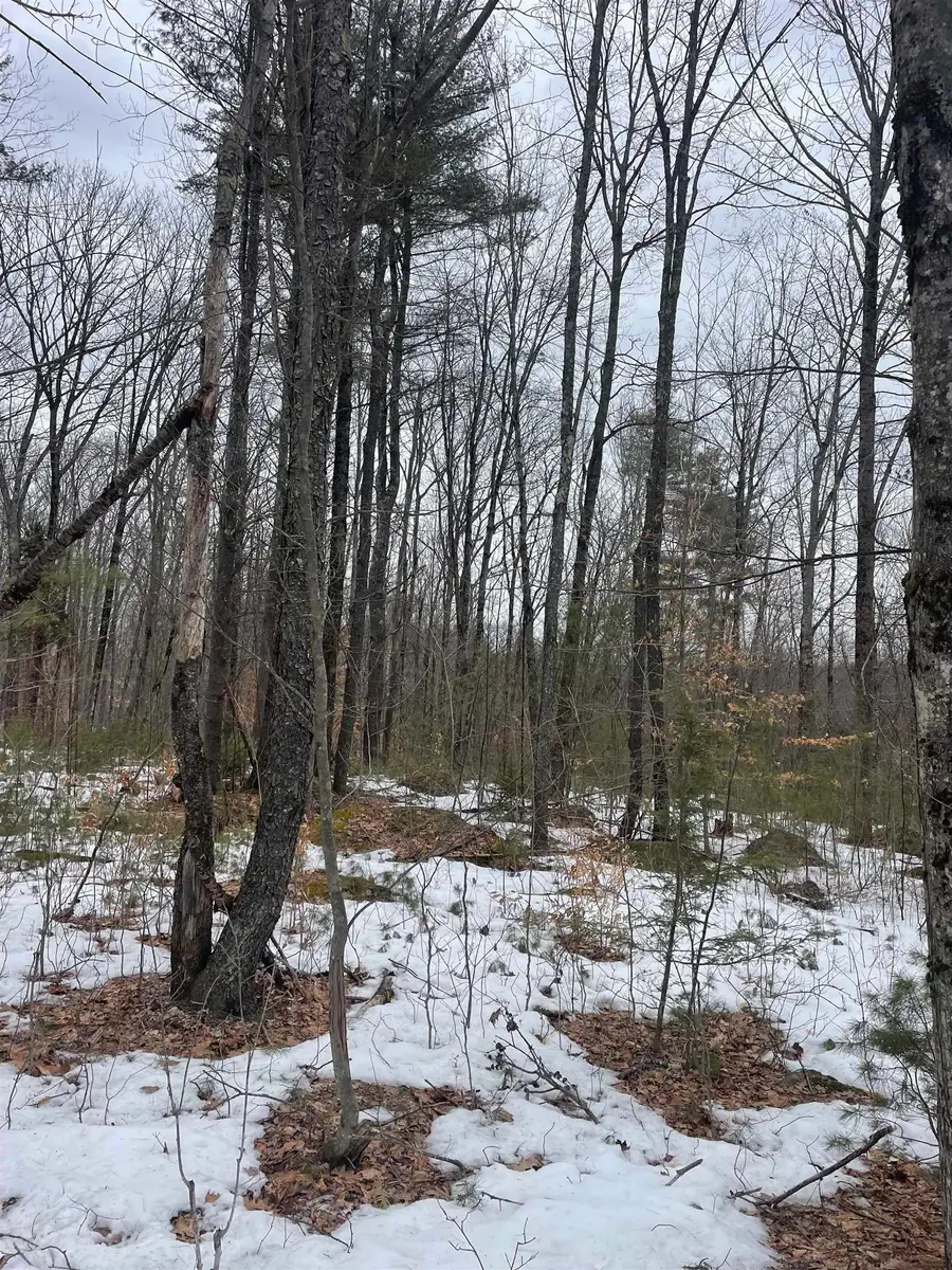 Lot 13-9 E Washington Road, Washington, NH 03280 - #2