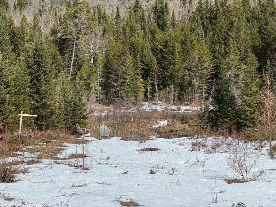 1656 Williamstown Road, Washington, VT 05675 - #3