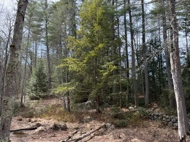 0 Ruonala Road, Milford, NH 03055 - #3